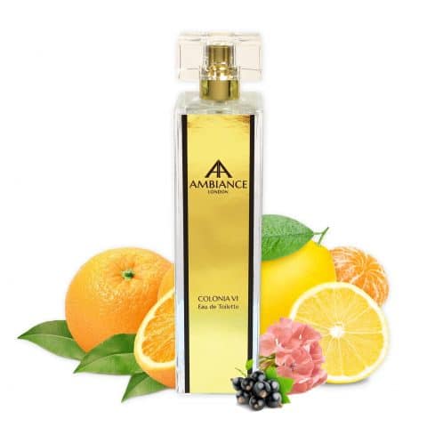 Colonia VI - blackcurrant peach perfume 100ml - Ancienne Ambiance London niche perfumes
