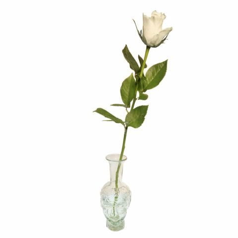 Transparent Tete Vase with rose