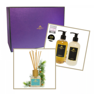 ancienne ambiance cedar diffuser - argan hand wash and hand lotion home gift set