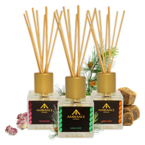 Ancienne Ambiance Luxury Reed Diffusers - Home Fragrances