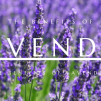 Benefits of Lavender for Sleeping