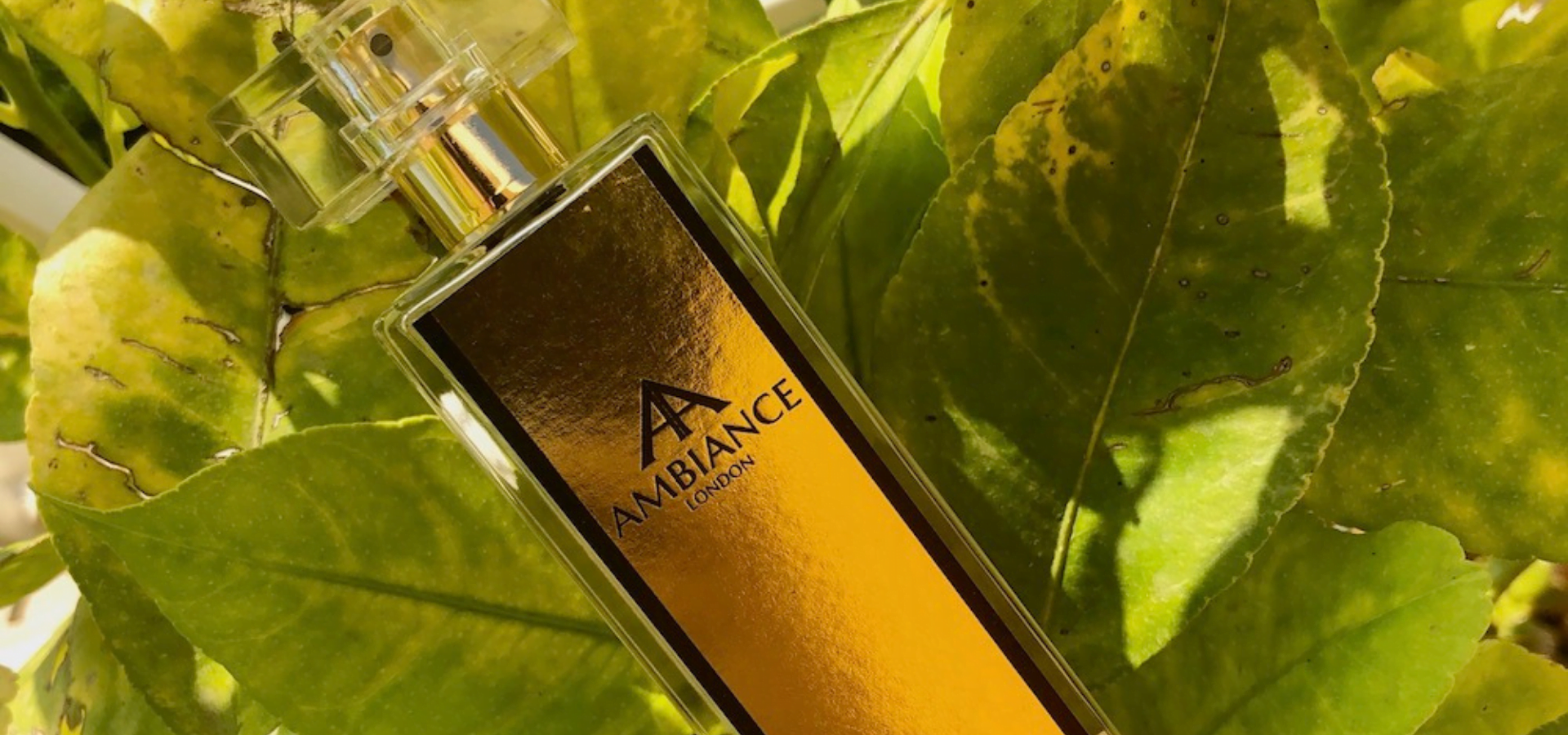 Ancienne Ambiance Colonia Collection Niche Perfumes - stand out from the rest