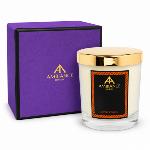 Assyria Blossom luxury scented candle by Ancienne Ambiance London in a clear glass vessel with a gold lid, presented with a purple Ambiance London gift box on a white background.