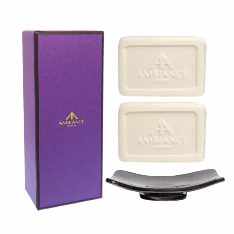 Bar Soap Duo with soap dish