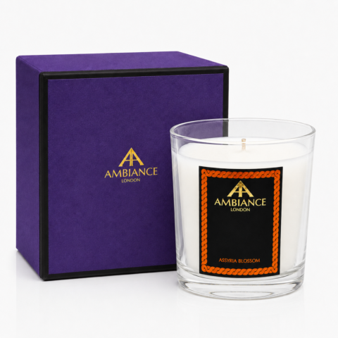 Elegant Ancienne Ambiance London candle in a glass holder with a black and orange label, labeled "Assyria Blossom." Purple box beside it, creating a luxurious feel.