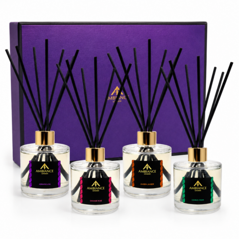 Four elegant reed diffusers with black sticks and gold caps are lined in front of a purple gift box. Each diffuser has a distinct coloured Ancienne Ambiance London label.